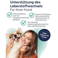 Produktbild von NutriLabs Rascave Hepar Forte Kautabletten für Hunde mit Vitamin-B-Komplex zur Unterstützung der Leberfunktion 90 Stück