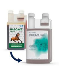 NutriLabs Rascave Hepar Saft für Pferde zur Unterstützung von Leber und Nieren 1 L - 1 l – Bild 1 von 5
