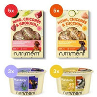 Produktbild von Nutriment Frischemenü Rind & Huhn mit Hundeeis für Hunde 10x400g und 6x90ml - 10 x 400 g