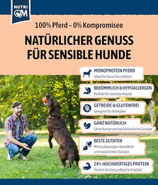 NutriQM Exklusiv Protein Hundeleckerli Pferd Single-Protein und Getreidefrei 5 x 100 g - 5 x 100 g – Bild 1 von 6