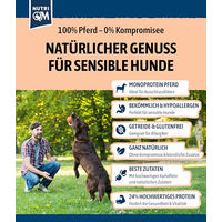Produktbild von NutriQM Exklusiv Protein Hundeleckerli Pferd Single-Protein und Getreidefrei 5 x 100 g - 5 x 100 g