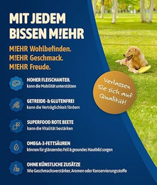 NutriQM Hundefutter Nassfutter Rind für Adult mit Herz und Fell 800 g Dose – Bild 1 von 3