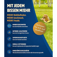 Produktbild von NutriQM Hundefutter Nassfutter Rind für Adult mit Herz und Fell 800 g Dose