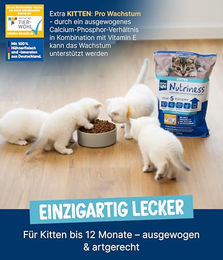 NutriQM Kitten Trockenfutter Huhn 750 g – Glutenfrei & Ohne Zucker – Single Protein Katzenfutter für Kitten – Bild 1 von 4