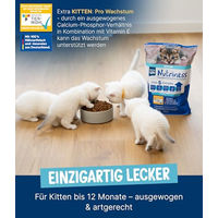 Produktbild von NutriQM Kitten Trockenfutter Huhn 750 g – Glutenfrei & Ohne Zucker – Single Protein Katzenfutter für Kitten