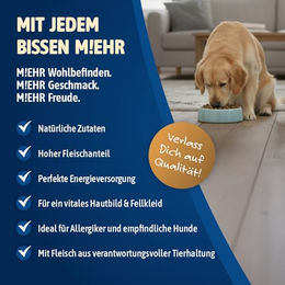 NutriQM Sensitiv Trockenfutter für Hunde Getreidefrei Monoprotein Huhn 7 kg – Bild 1 von 5