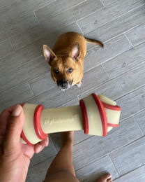 Nylabone Kauknochen aus Nylon mit Rindgeschmack für große Hunde Größe L - 1 Stk. – Bild 1 von 3