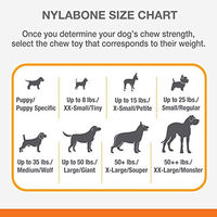 Produktbild von Nylabone Kauknochen aus Nylon mit Rindgeschmack für mittelgroße Hunde Größe M - 1 Stk.