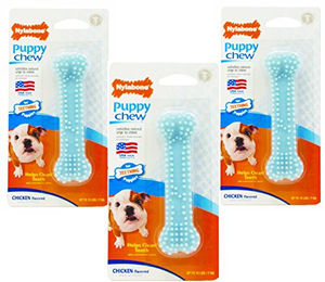 Produktbild von Nylabone Kauknochen mit Hühnergeschmack für Welpen zur Zahnpflege, 3 Stück