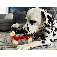 Produktbild von Nylabone Kauspielzeug für erwachsene Hunde aus Nylon in Größe M - 1 Stk.