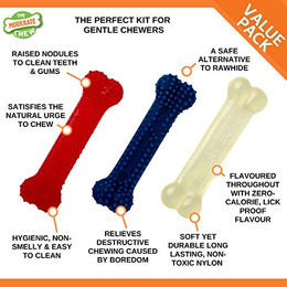 Nylabone Kauspielzeug Hund Dental Chew Huhn XS Blau – Bild 1 von 3