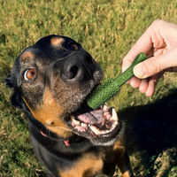 Produktbild von Nylabone Nutri Dent Zahnpflege-Snack Huhn für kleine Hunde getreidefrei 20er Pack