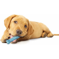 Produktbild von Nylabone Puppy Teething Dental Chew Kauspielzeug für Welpen mit Hähnchengeschmack XS Blau - 1 Stk.