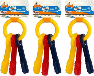 Nylabone Puppy Teething Keys Kauspielzeug für Welpen mit Bacon Geschmack XS - 1 Stk. – Bild 1 von 3