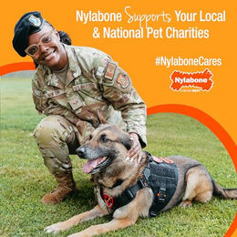 Nylabone Zahnpflege-Kauspielzeug für Hunde mit Huhn Geschmack Größe M Blau – Bild 1 von 6