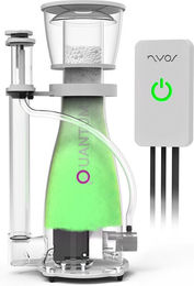 Nyos Quantum EQ 160 Proteinabschäumer für Salzwasseraquarien – Bild 1 von 1