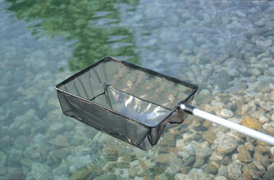 Produktbild von Oase Algenkescher groß