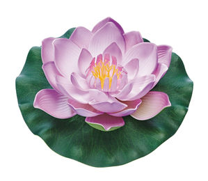 Oase Pontec PondoLily - violett – Bild 1 von 2