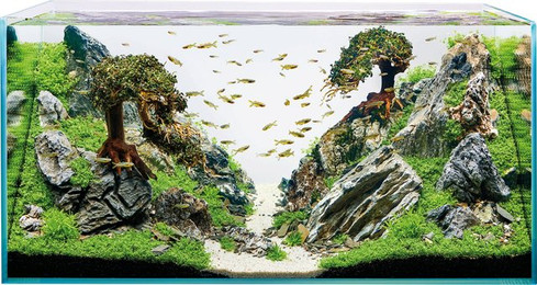 Produktbild von Oase ScaperLine Aquarium - 100