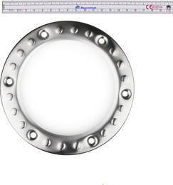 Produktbild von Oase Scheinwerferring ProfiLux 100 E