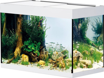 Produktbild von Oase StyleLine 175 Aquarium - white