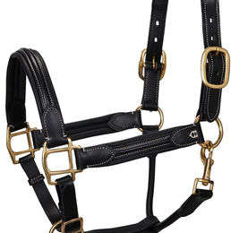 Produktbild von Oberes Lederhalfter für Pferde Equestro