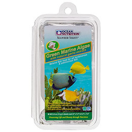 Produktbild von Ocean Nutrition Green Marine Algae - 12 g