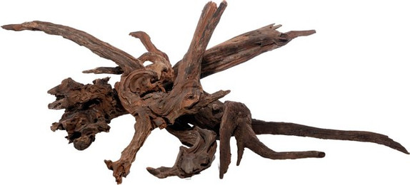 Produktbild von Olibetta Flusswurzel - L