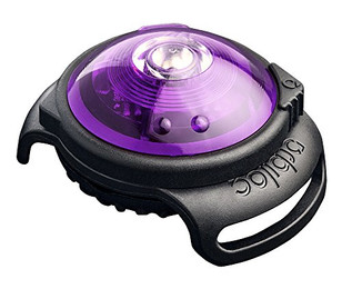 Produktbild von Orbiloc LED-Sicherheitslicht Dog Dual Lila
