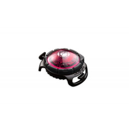 Produktbild von Orbiloc Sicherheitslicht Dog Dual Pink - 1 Stk.