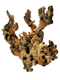 Produktbild von ORBIT Barico Wurzel Aquarieneinrichtung L 35 - 50 Centimeter