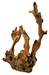 Produktbild von ORBIT Barico Wurzel Aquarieneinrichtung S 15 - 25 Centimeter