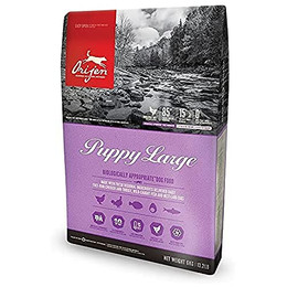 Produktbild von Orijen Puppy Large Breed - 6 kg