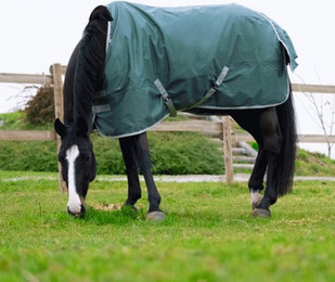 Produktbild von Outdoor-Decke aus Recyclingmaterial Equithème Tyrex 600 D