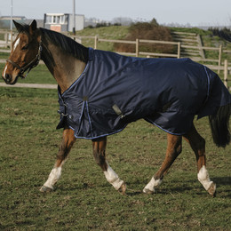 Produktbild von Outdoor-Decke Equithème Classic 600D