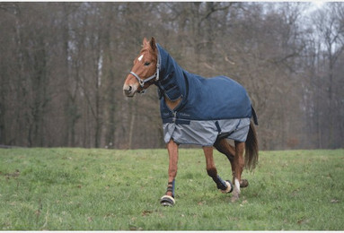 Produktbild von Outdoor-Decke Equithème Tyrex 600 D 200g