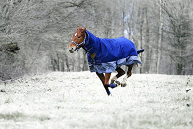 Produktbild von Outdoor-Decke Equithème Tyrex 600 D