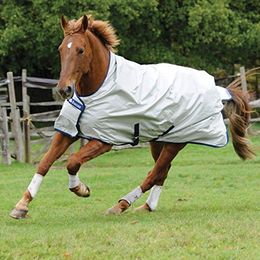 Outdoor-Decke für Pferde Bucas Turnout Light 300g – Bild 1 von 3