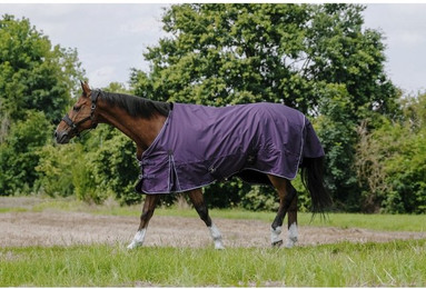 Produktbild von Outdoor-Decke für Pferde Equithème 600D AI 50g