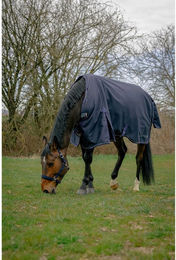 Produktbild von Outdoor-Decke für Pferde Equithème Anatomic 1200D AI 50 g