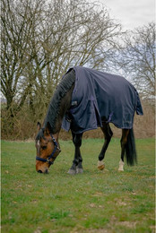 Produktbild von Outdoor-Decke für Pferde Equithème Anatomic 1200D AI 50 g