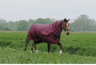 Produktbild von Outdoor-Decke für Pferde Equithème Tyrex 1200D Combo 350g