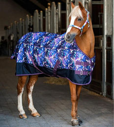 Produktbild von Outdoor-Decke für Pferde HorseGuard Josh Turnout 600D