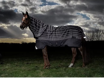 Produktbild von Outdoor-Decke für Pferde Horseware Amigo Bravo 12 Refl Plus