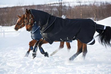 Produktbild von Outdoor-Decke für Pferde Horseware Amigo Super Bravo Plus 250g
