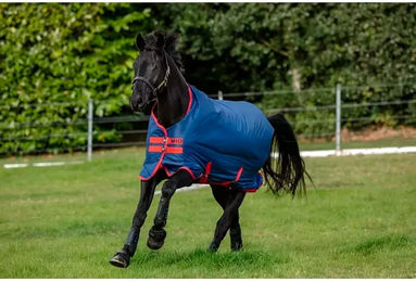 Produktbild von Outdoor-Decke für Pferde Horseware Mio Turnout 200g - 200 g