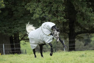 Produktbild von Outdoor-Decke für Pferde Horseware Rambo Duo Bundle