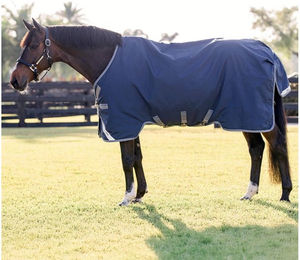 Produktbild von Outdoor-Decke für Pferde Horseware Rhino Vari-Layer 250g