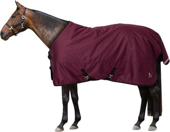 Produktbild von Outdoor-Decke für Pferde Horze Newbridge 100 g