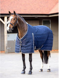 Produktbild von Outdoor-Decke für Pferde LeMieux Kudos 100g